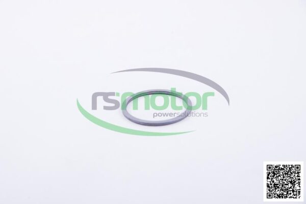 Sealing Ring MWM RS-01139884 - Image 2