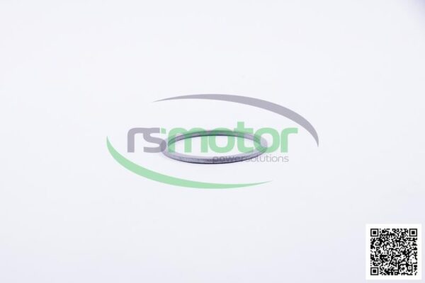 Sealing Ring MWM RS-01139884 - Image 3