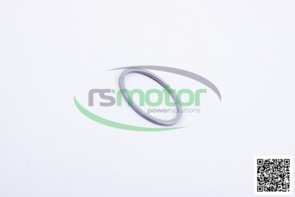 Sealing Ring MWM RS-01139884 - Image 4