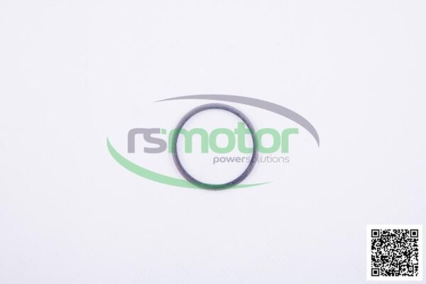 Sealing Ring MWM RS-01139884 - Image 7