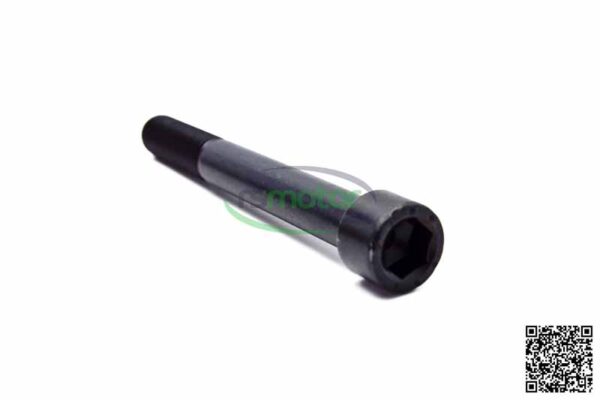 Cheese Head Screw MWM RS-01143094 - Image 2