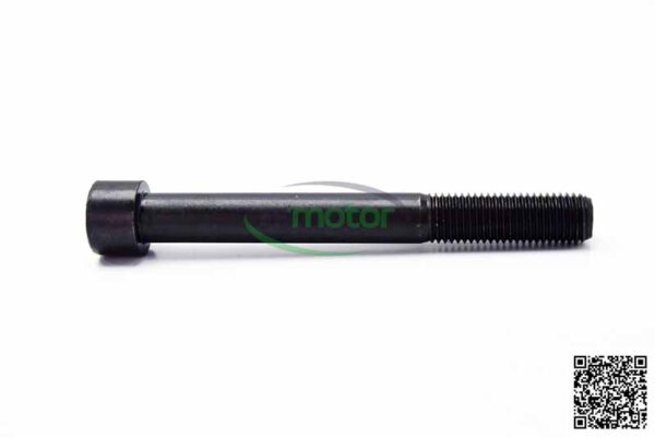 Cheese Head Screw MWM RS-01143094