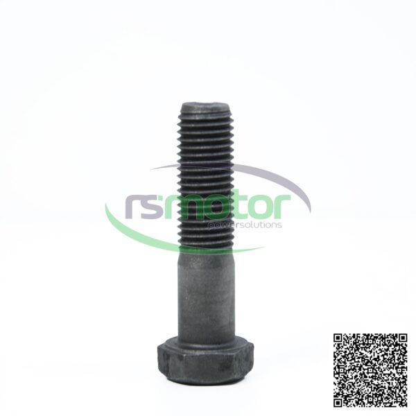 Hexagon Bolt MWM RS-01148026 - Image 4