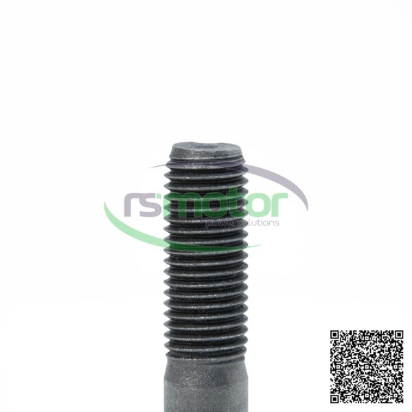 Hexagon Bolt MWM RS-01148026 - Image 3