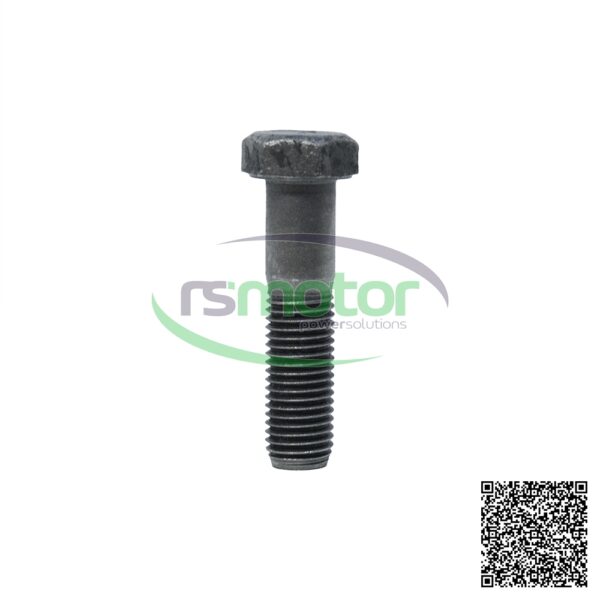 Hexagon Bolt MWM RS-01148026 - Image 2