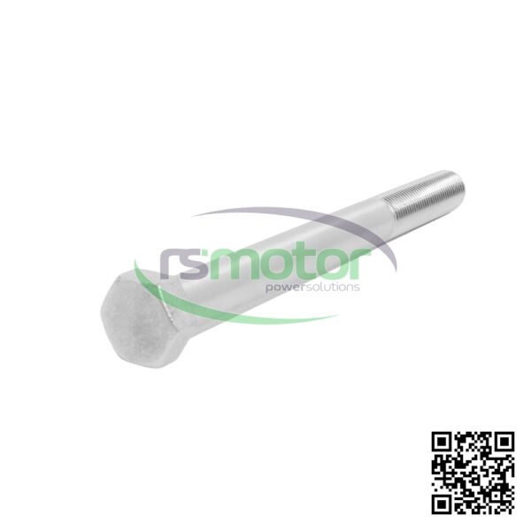 Hexagon Bolt MWM RS-01148087 - Image 6