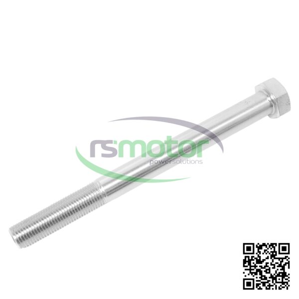 Hexagon Bolt MWM RS-01148087