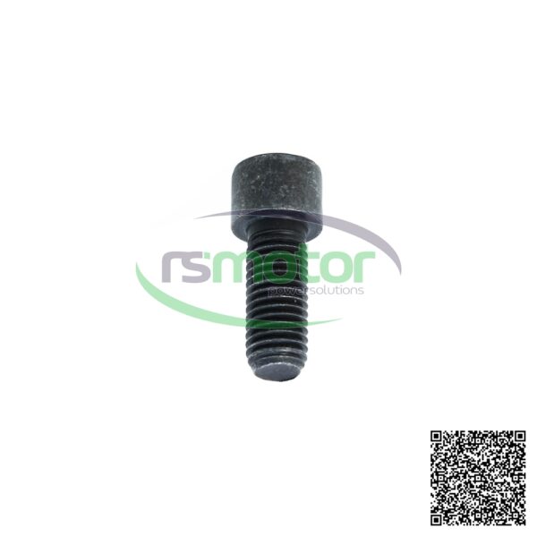 Cheese Head Screw MWM RS-01148443 - Image 2