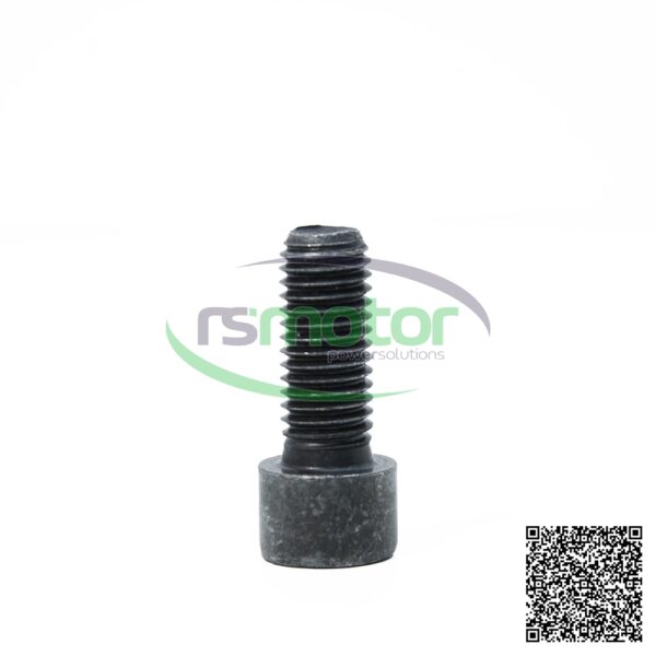Cheese Head Screw MWM RS-01148443 - Image 4