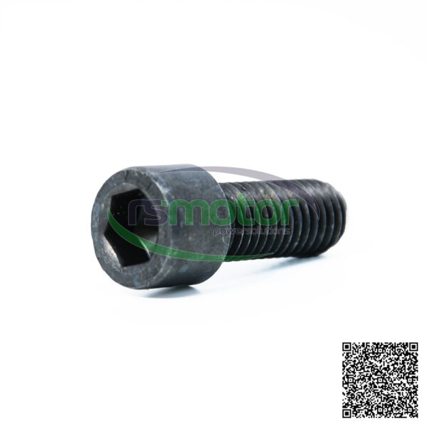 Cheese Head Screw MWM RS-01148443