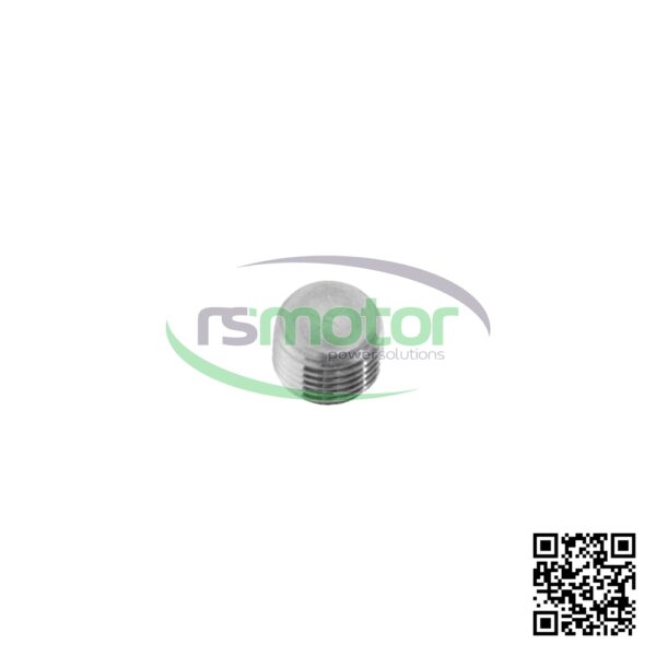 Tapón roscado MWM RS-01148582
