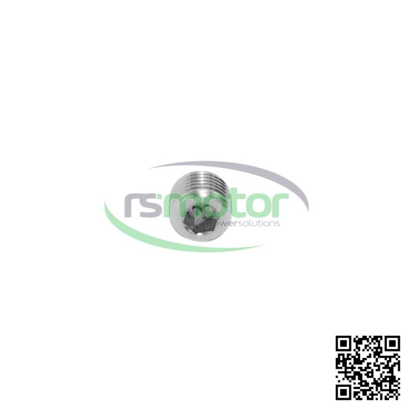 Tapón roscado MWM RS-01148582 - Imagen 5