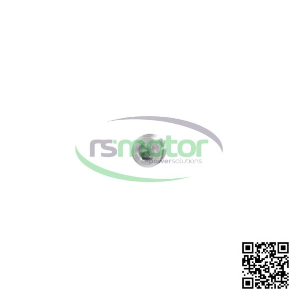 Tapón roscado MWM RS-01148582 - Imagen 3