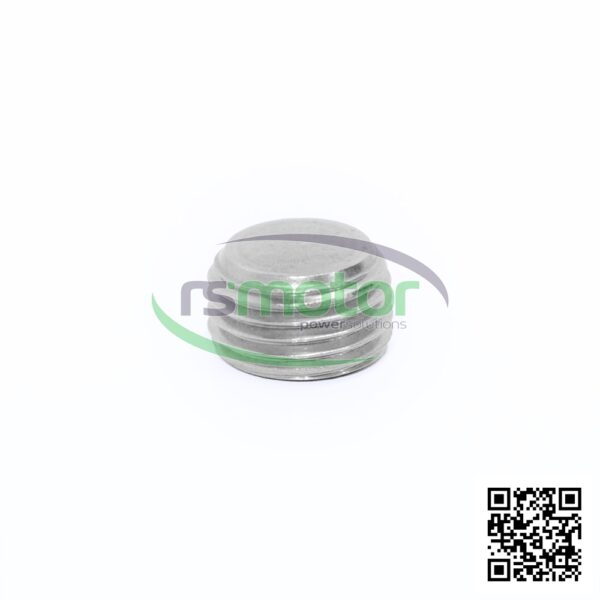 Screw Plug MWM RS-01148583