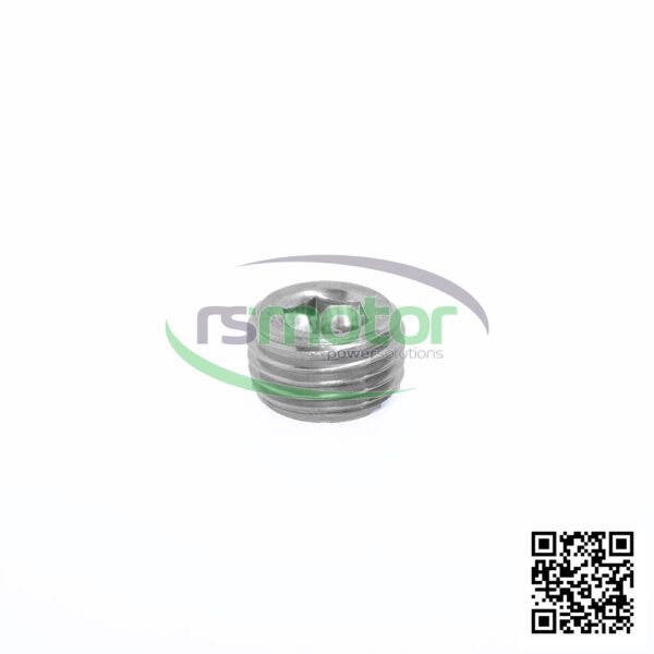 Screw Plug MWM RS-01148583 - Image 6