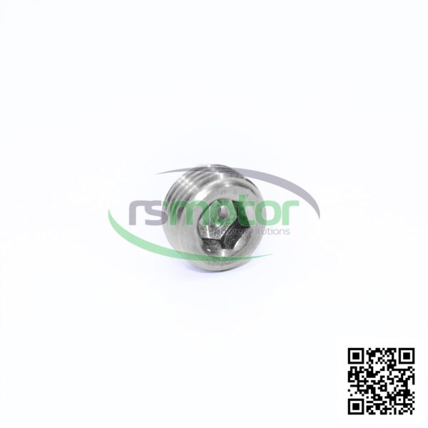 Screw Plug MWM RS-01148583 - Image 5