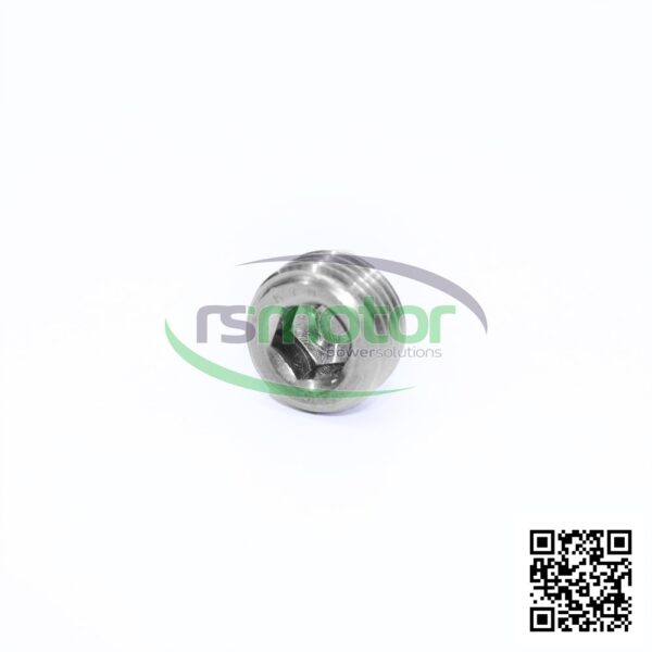 Screw Plug MWM RS-01148583 - Image 3