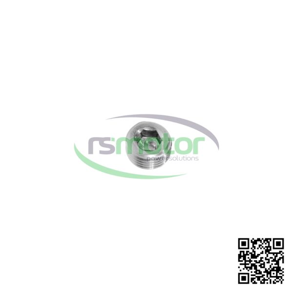 Screw Plug MWM RS-01148583 - Image 2