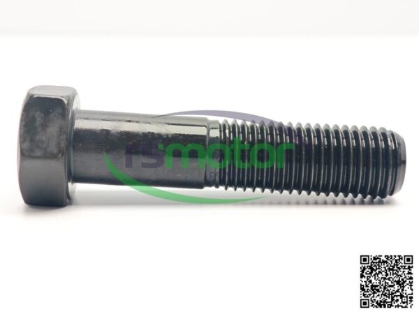 Hexagon bolt MWM RS-01148741 - Image 4