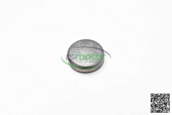 Cover MWM RS-01151196
