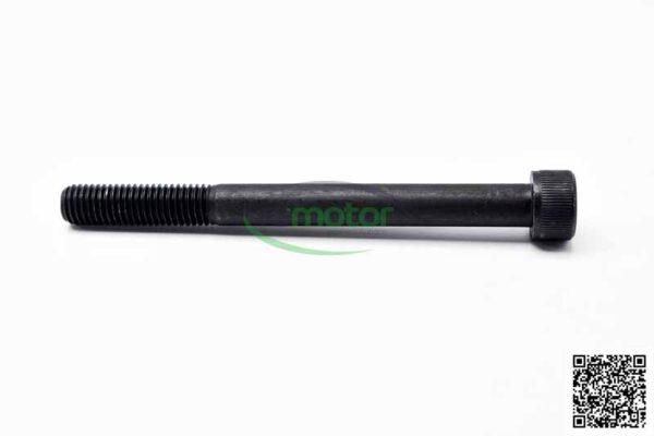 Cylinder Screw MWM RS-01151455