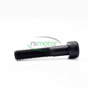 Cylinder Screw MWM RS-01151460