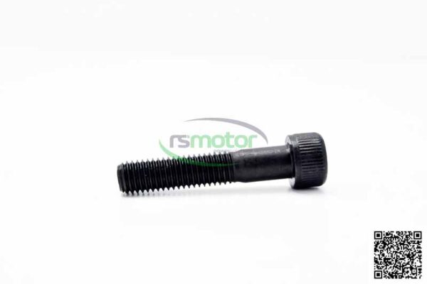 Cylinder Screw MWM RS-01151460