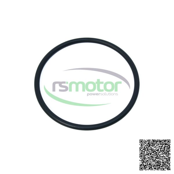 O-Seal MWM RS-01151827
