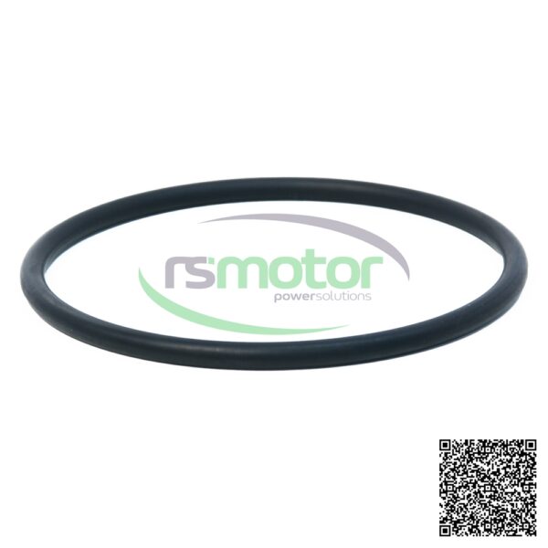 O-Seal MWM RS-01151827 - Image 3