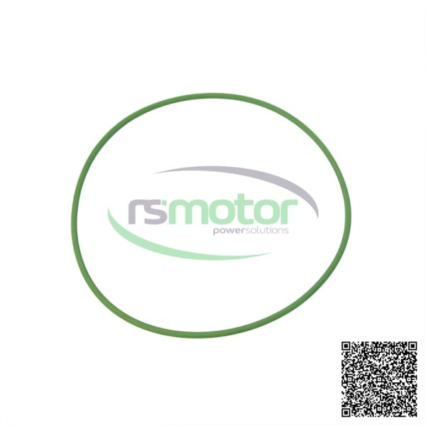O-Seal MWM RS-01153806 - Image 3