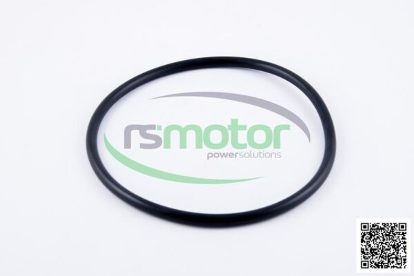 O-seal MWM RS-01153818 - Image 2