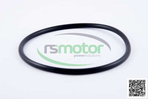 O-seal MWM RS-01153818 - Image 3