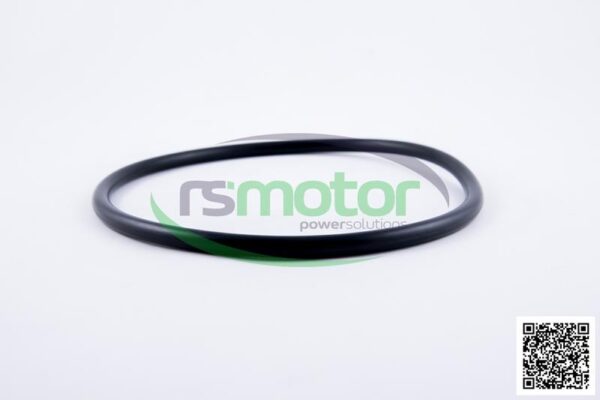 O-seal MWM RS-01153818 - Image 4