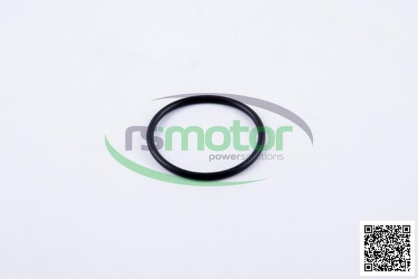 O-seal MWM RS-01153835 - Image 2