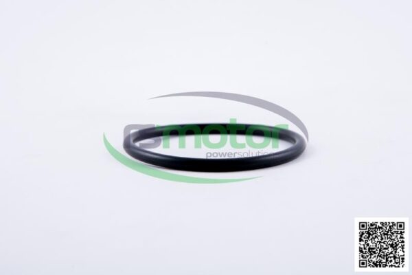 O-seal MWM RS-01153835 - Image 4