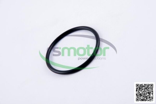 O-seal MWM RS-01153835 - Image 6