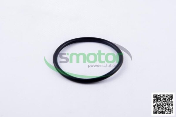 O-seal MWM RS-01153838 - Image 3