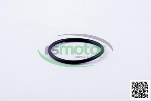 O-seal MWM RS-01153838 - Image 4