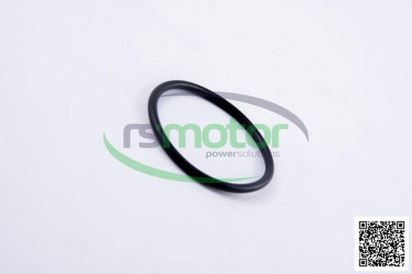O-seal MWM RS-01153838 - Image 6