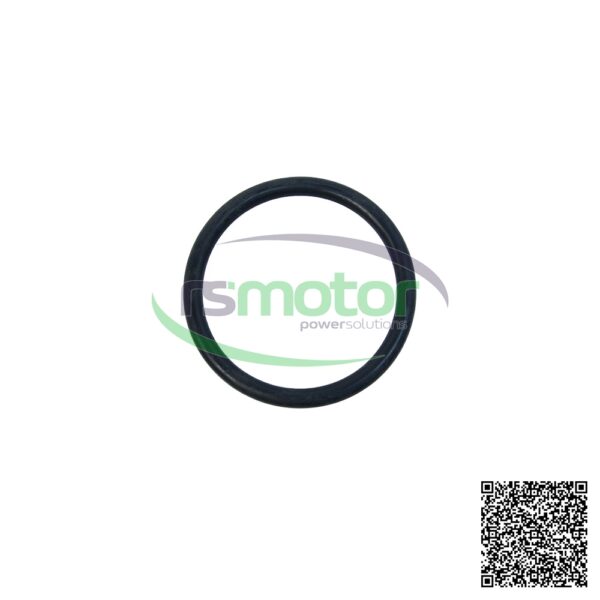 O-Seal Deutz / MWM RS-01153841 - Image 2