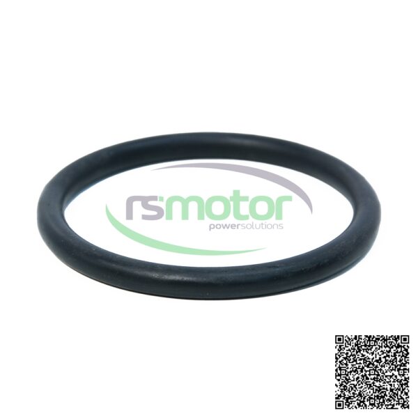 O-Seal Deutz / MWM RS-01153841