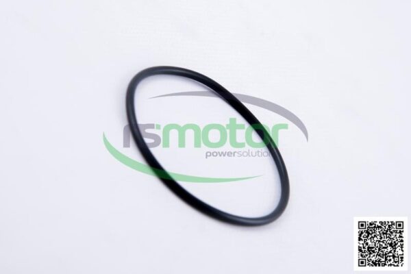 O-seal MWM RS-01153843 - Image 5