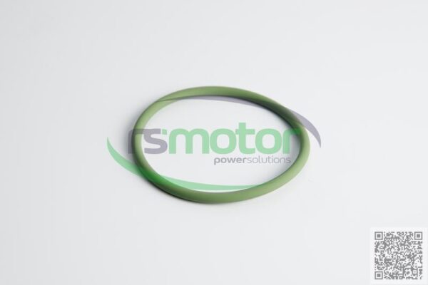 O-seal MWM RS-01153845 - Image 2