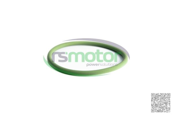 O-seal MWM RS-01153845 - Image 3
