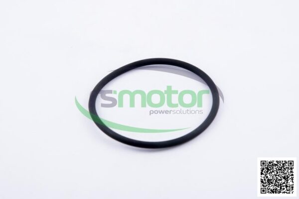 O-seal MWM RS-01153851 - Image 2