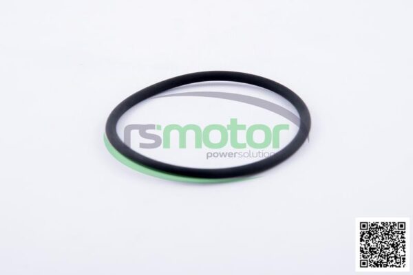 O-seal MWM RS-01153851 - Image 3