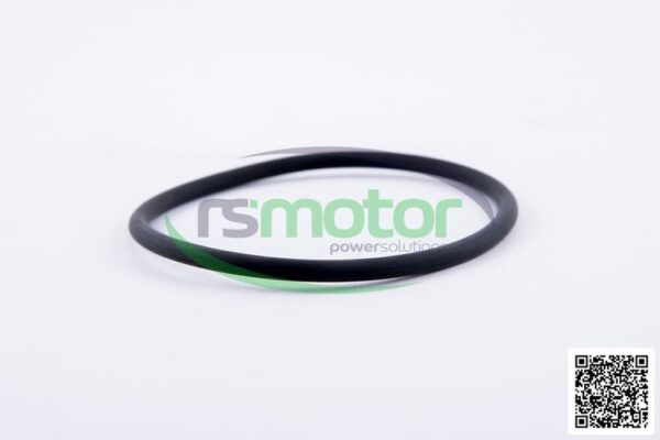 O-seal MWM RS-01153851 - Image 4