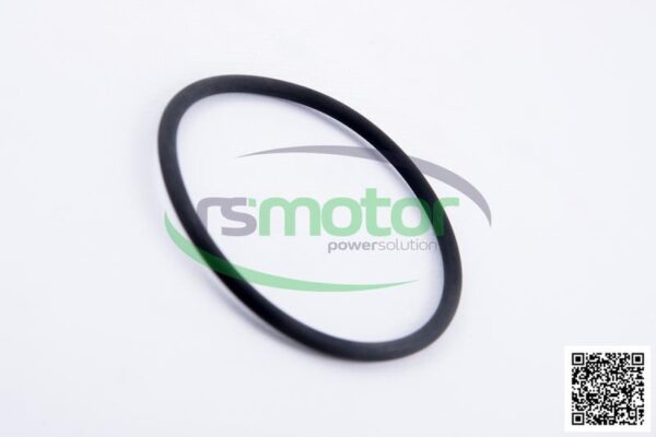 O-seal MWM RS-01153851 - Image 5