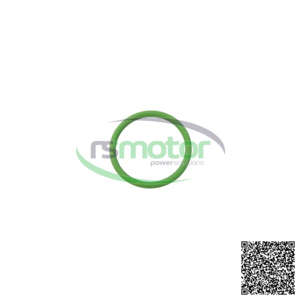 Round Sealing Ring MWM RS-01153868
