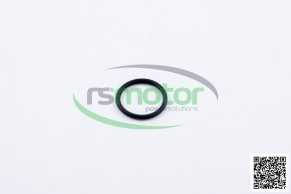 O-seal MWM RS-01153869 - Image 2